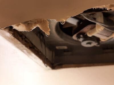 Professional water damage restoration services in Corona - HighRise Relief